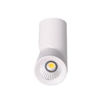 3A Lighting 12W Surface Mounted Adjustable Can Light DL2034