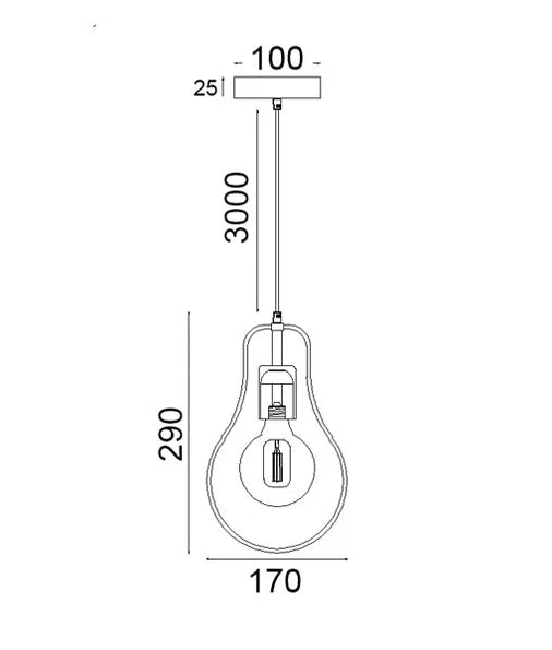 CLA CONTOUR: Interior Black Wire Pear Shape Pendant Light