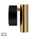 Havit Lighting Lesen Black Brass Single Adjustable Wall Light (HV3689T-BLKBR)