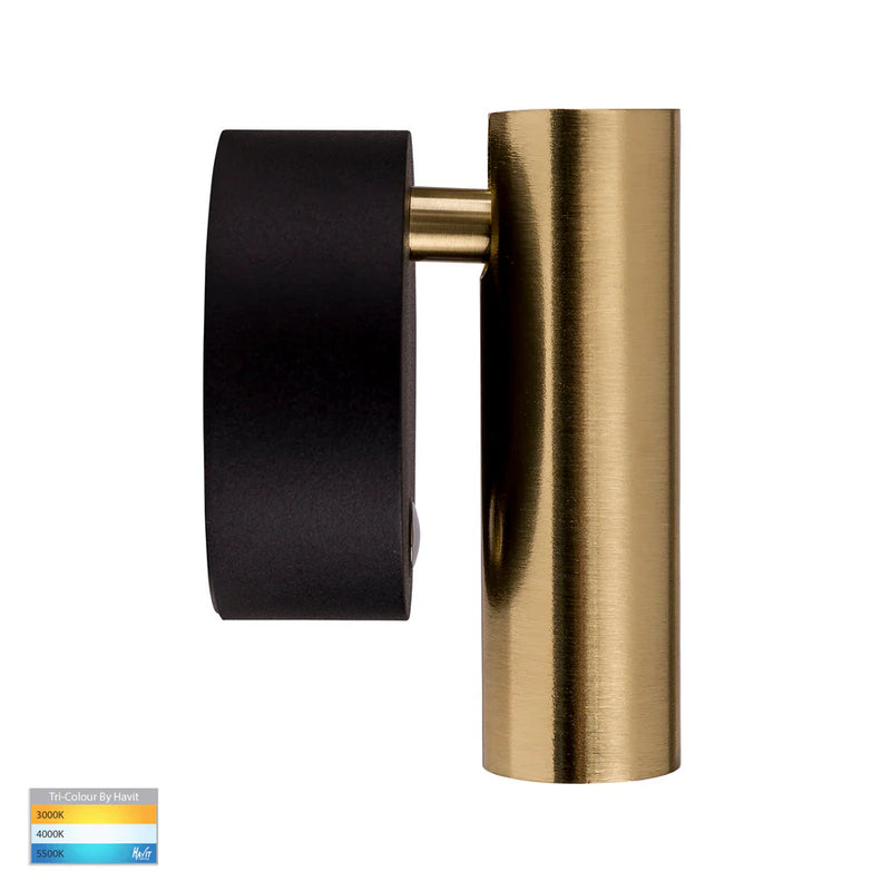 Havit Lighting Lesen Black Brass Single Adjustable Wall Light (HV3689T-BLKBR)