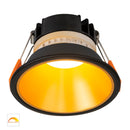 Havit Lighting Gleam Black with Gold Insert Fixed Dim to Warm LED Downlight (HV5528D2W-BG)