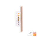 Havit Lighting  Wifi 2 Gang White with Gold Trim Wall Switch (HV9120-2)