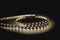 Havit Lighting 4.8w 24v DC IP20 LED Strip 5500k (HV9722-IP20-64-5K)