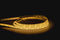 Havit Lighting 9.6w IP54 LED Strip 3000k (HV9723-IP54-120-3K)
