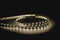 Havit Lighting 4.8w 24v DC IP20 Long Run LED Strip 5500k (HV9741-IP20-60-5K)