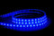 Havit Lighting 14.4w IP67 RGB + 3000k LED Strip (RGBW)(HV9751-IP67-60-RGBW) Per Metre