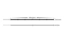 Havit Lighting 12w IP20 24v DC 4000K Free Cut COB Dotless LED Strip (HV9761-IP20-528-4K)
