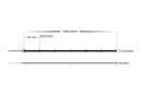 Havit Lighting 15w IP54 COB RGB LED Strip (HV9761-IP54-480-RGB)