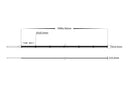 Havit Lighting 10w IP20 24v DC 3000K CSP Dotless LED Strip (HV9762-IP20-320-3K)