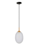 CLA KATHAL: Interior Ellipse Glass Segmented with Brass Highlight Enclosed Pendant Lights