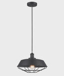 CLA MATRIX: Industrial Iron Dome & Cage Pendant Lights