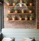 CLA STRAND: Iron and Wood Dome Cage Pendant Lights