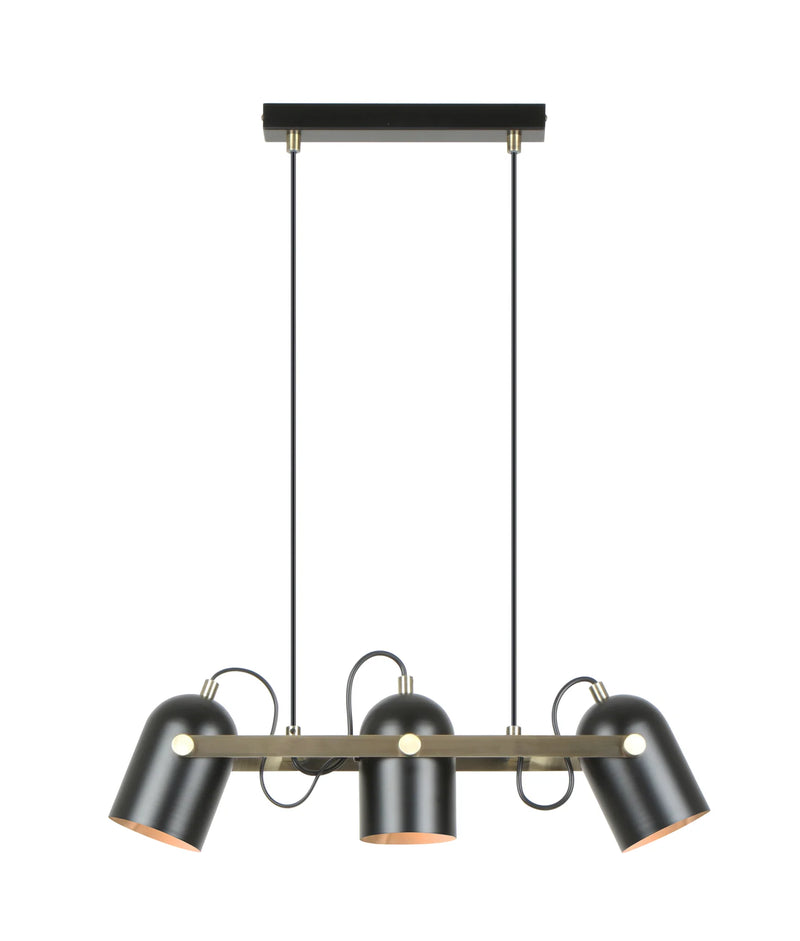 CLA TAZZA: Interior Ellipse Shade with Antique Brass Hardware Pendant Light