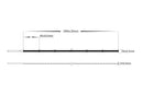 Havit Lighting Viper COB 10w Per Metre 2m LED Strip kit 5500k (VPR9765IP54-320-2M)
