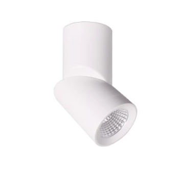 3A Lighting 12W Surface Mounted Adjustable Can Light (DL2034)